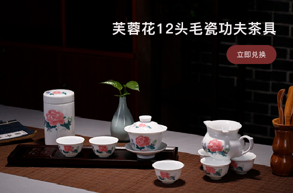 醴陵釉下五彩瓷是当代中国传统陶瓷工艺的巅峰创造。早在1915年美国巴拿马太平洋万国博览会上就闻名天下。瓷之韵艺术陶瓷选用特有胎、釉原料和稀土、有色金属矿物质研制的色料，以精湛的手工装饰技艺，装饰于胎釉之间，采用多次烧成法，最后经过1400摄氏度 左右得高温烧炼，使色料溶于胎釉之间，花纹透过釉层溢于瓷表，晶莹润泽，具有很高的洁白度、透明度和釉面硬度，产品造型优美、高贵典雅，画面装饰博彩万物，色彩绚丽，栩栩如生，并且不含任何铅、鎘等有害物质，耐酸、碱，使用安全环保，有益健康。真正达到了薄如纸、白如玉、明如镜、声如罄的最高境界。