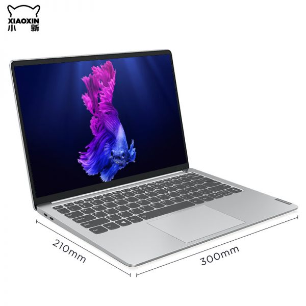 电脑小新-13 i5-10210U/8G/512G/MX350 2G/台