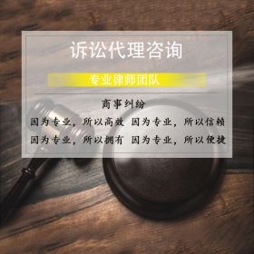 诉讼代理咨询