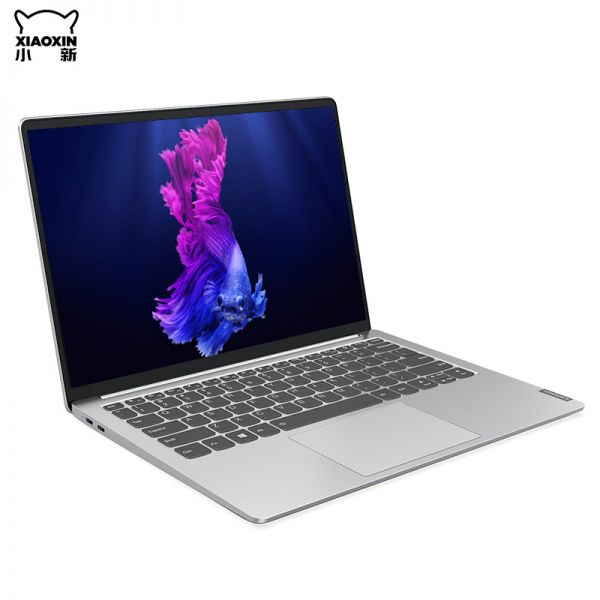 电脑小新-13 i5-10210U/8G/512G/MX350 2G/台